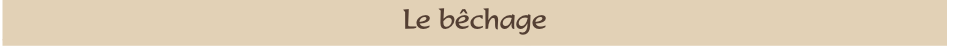 Le bêchage