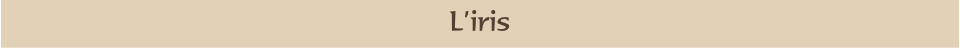 L’iris